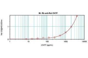 Image no. 2 for anti-Ciliary Neurotrophic Factor (CNTF) antibody (Biotin) (ABIN465709) (CNTF Antikörper  (Biotin))