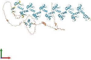 AlphaFold protein structure predicition of Human Recombinant ZNF268 Protein, UniprotID Q14587