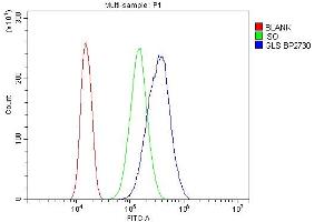 Flow Cytometry analysis of 293T cells using anti-Glutaminase/GLS antibody (ABIN7601603).