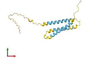 Protein Structure (PS) image for Ninjurin 1 (NINJ1) (AA 1-152) protein (His tag) (ABIN7562505)