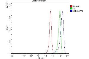Flow Cytometry analysis of RT4 cells using anti-SHROOM4 antibody (ABIN7600980). (Shroom Family Member 4 (SHROOM4) (AA 262-928) Antikörper)