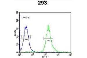Flow cytometric analysis of 293 cells using Syntaxin 1A / STX1A Antibody (N-term) Cat. (STX1A Antikörper  (N-Term))