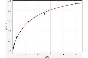 PEX2 ELISA Kit