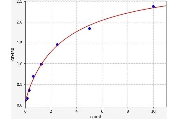 PEX2 ELISA Kit