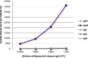 FLISA plate was coated with purified human IgA1, IgA2, IgD, IgG, and IgM. (Maus anti-Human IgA2 Antikörper (FITC))