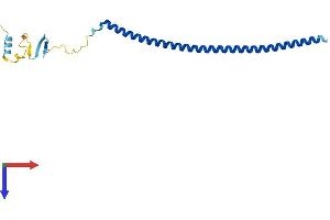 Stathmin 3 Protein (STMN3) (AA 1-180) (His tag)