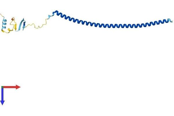 Stathmin 3 Protein (STMN3) (AA 1-180) (His tag)