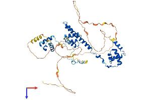 RCOR3 Protein (AA 1-495) (His tag)