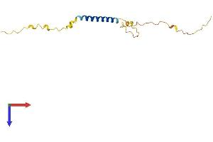 AlphaFold protein structure predicition of Mouse Recombinant Mrap Protein, UniprotID Q9D159