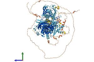 Protein Structure (PS) image for ATPase, Aminophospholipid Transporter, Class I, Type 8B, Member 3 (ATP8B3) (AA 1-1335) protein (His tag) (ABIN7564152)
