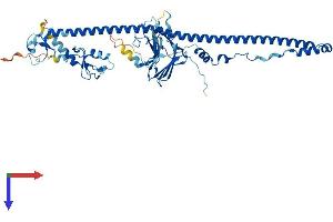 TRIM35 Protein (AA 1-501) (His tag)