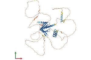 Protein Structure (PS) image for DCP1 Decapping Enzyme Homolog A (S. Cerevisiae) (DCP1A) (AA 1-582) protein (His tag) (ABIN7547046)