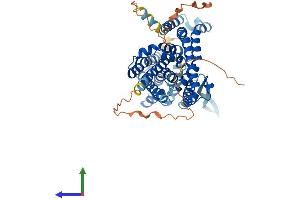 Protein Structure (PS) image for Solute Carrier Family 1 Member 5 (SLC1A5) (AA 1-541) protein (His tag) (ABIN7551916)