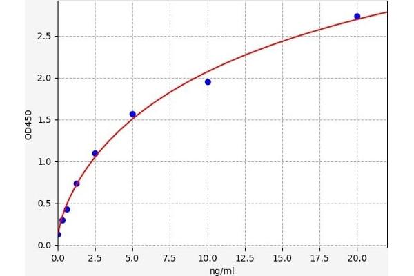 CYB5R3 ELISA Kit