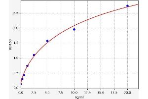 Typical standard curve (CYB5R3 ELISA Kit)