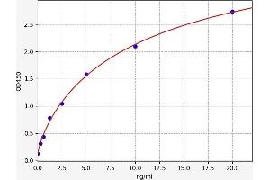 BCL2L1 ELISA Kit