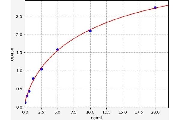 BCL2L1 ELISA Kit