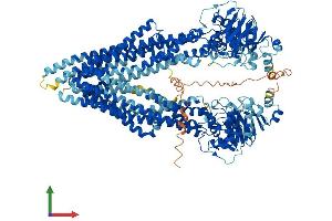 AlphaFold protein structure predicition of Mouse Recombinant Abcb1a Protein, UniprotID P21447 (ATP-Binding Cassette, Sub-Family B (MDR/TAP), Member 1A (ABCB1A) (AA 1-1276) protein (His tag))