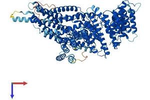 NAA25 Protein (AA 1-972) (His tag)