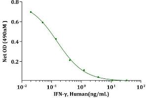 IFN-γ, Human induced cytotoxicity of HT-29 (HTB-38) cells. (Interferon gamma Protein (IFNG))