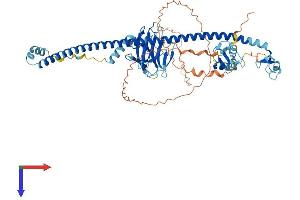 TRIM41 Protein (AA 1-630) (His tag)