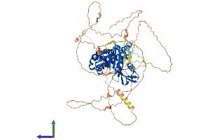 Protein Structure (PS) image for FERM Domain Containing 7 (FRMD7) (AA 1-703) protein (His tag) (ABIN7561893)