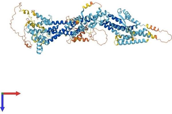 TUBGCP5 Protein (AA 1-1024) (His tag)