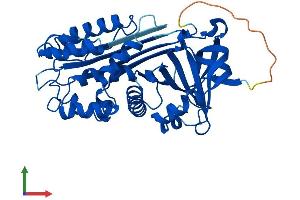 Protein Structure (PS) image for serpin Peptidase Inhibitor, Clade B (Ovalbumin), Member 1 (SERPINB1) (AA 1-379) protein (His tag) (ABIN7548477)