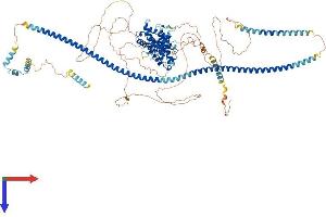PPFIBP1 Protein (AA 1-1011) (His tag)