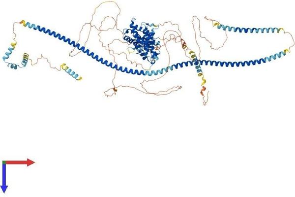 PPFIBP1 Protein (AA 1-1011) (His tag)