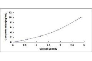 Typical standard curve (ABCA9 ELISA Kit)