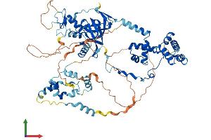 Protein Structure (PS) image for Metastasis Associated 1 Family, Member 2 (MTA2) (AA 1-668) protein (His tag) (ABIN7549549)