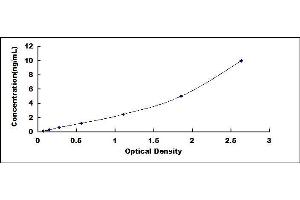 Typical standard curve (Ceramide Synthase 2 ELISA Kit)