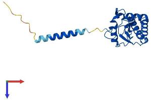 GPX8 Protein (AA 1-209) (His tag)