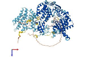 IFIH1 Protein (AA 1-1025) (His tag)