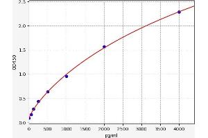 XCL1 ELISA Kit