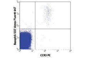 Flow Cytometry (FACS) image for anti-Basophils antibody (Alexa Fluor 647) (ABIN2657593) (Basophils Antikörper  (Alexa Fluor 647))