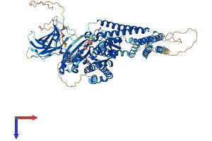INPP4B Protein (AA 1-924) (His tag)