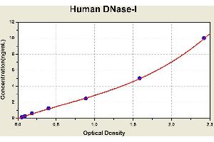 Diagramm of the ELISA kit to detect Human DNase-1with the optical density on the x-axis and the concentration on the y-axis. (DNASE1 ELISA Kit)