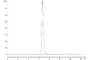 Size-exclusion chromatography-High Pressure Liquid Chromatography (SEC-HPLC) image for CD3 epsilon (CD3E) (AA 22-48) protein (Fc-Avi Tag,Biotin) (ABIN7274135)