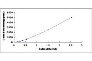 Typical standard curve (ALDOB ELISA Kit)