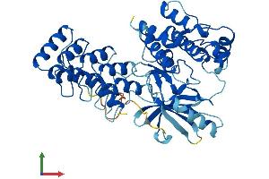 Protein Structure (PS) image for Integrin-Linked Kinase (ILK) (AA 1-452) protein (His tag) (ABIN7548478)