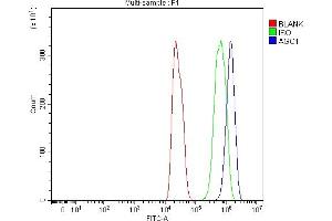 Flow Cytometry analysis of C6 cells using anti-AGO1 antibody (ABIN7601531). (AGO1 Antikörper  (AA 376-409))