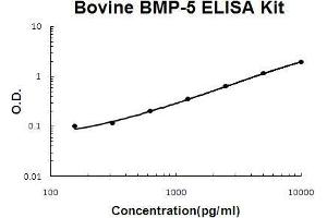 Bovine BMP-5 PicoKine ELISA Kit standard curve