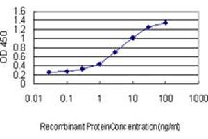Detection limit for recombinant GST tagged ALAS1 is approximately 0. (ALAS1 Antikörper  (AA 1-98))