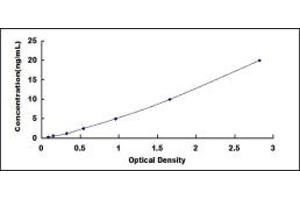 Defensin, beta 119 (DEFB119) ELISA Kit