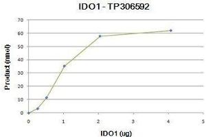 Activity Assay (AcA) image for Indoleamine 2,3-Dioxygenase 1 (IDO1) (Active) protein (Myc-DYKDDDDK Tag) (ABIN2723258)