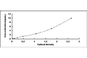 Typical standard curve (WNT1 ELISA Kit)