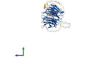 AlphaFold protein structure predicition of Human Recombinant AAMP Protein, UniprotID Q13685