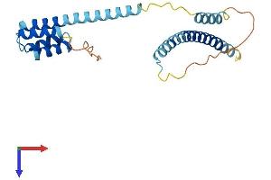 CCDC43 Protein (AA 1-222) (His tag)